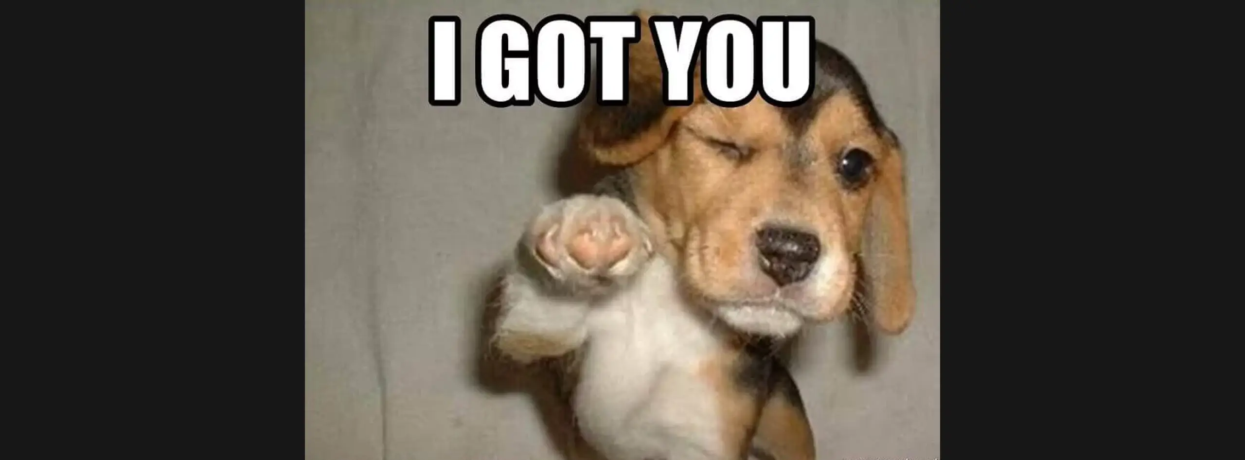 Ongoing Updates & Support